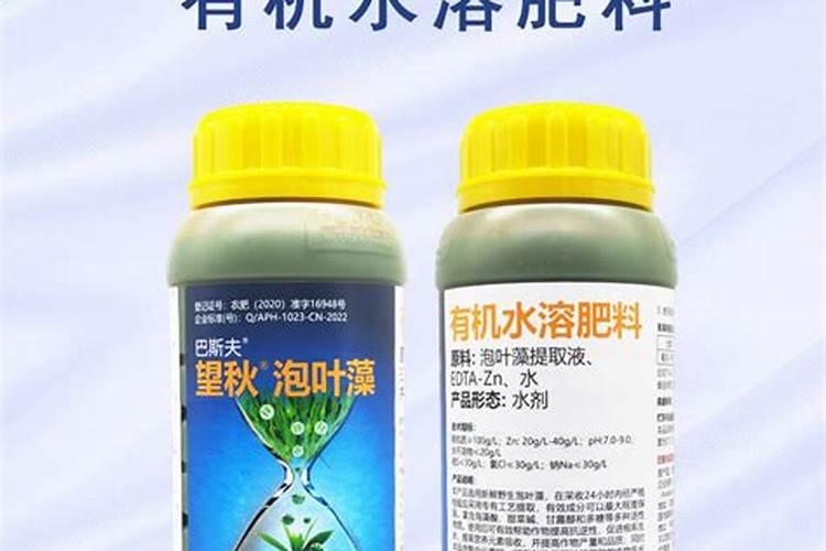 桉树一年或者一个月能长多高？