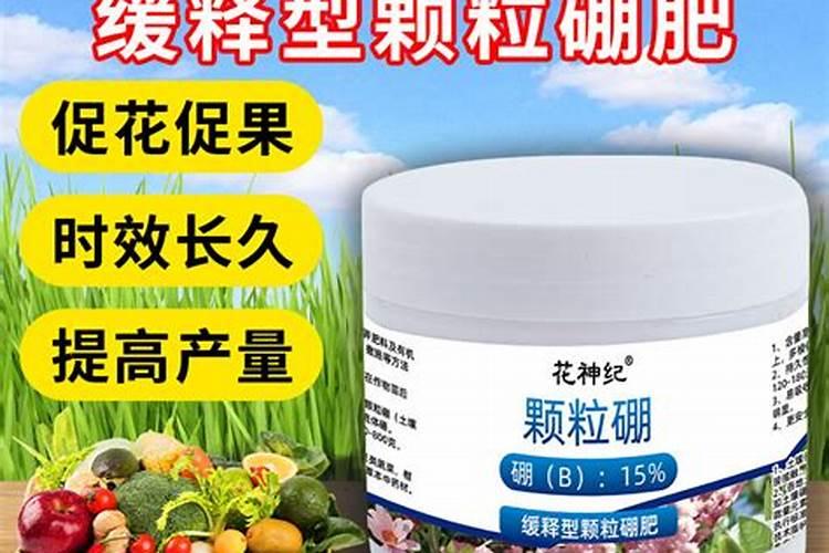 氮肥施用有哪些禁忌