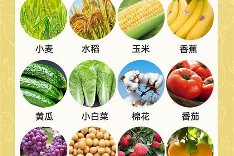 长效氮肥的使用方法及注意事项有哪些