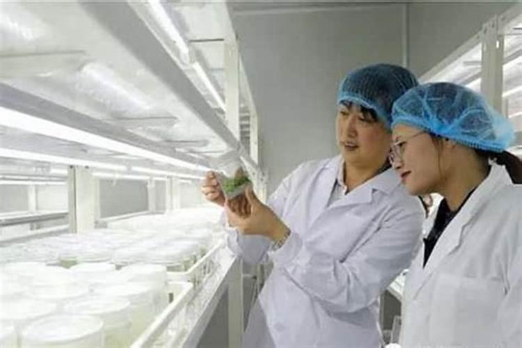 氮肥的使用与注意事项