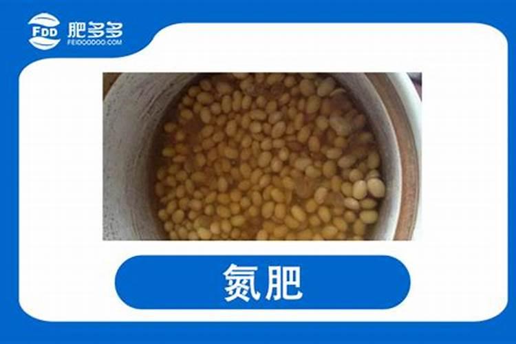 常见的氮肥有哪些 使用注意事项