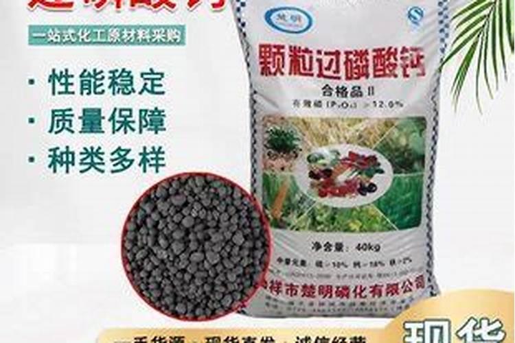 杨梅树施用硫酸美有什么好处+,什么时候施肥？