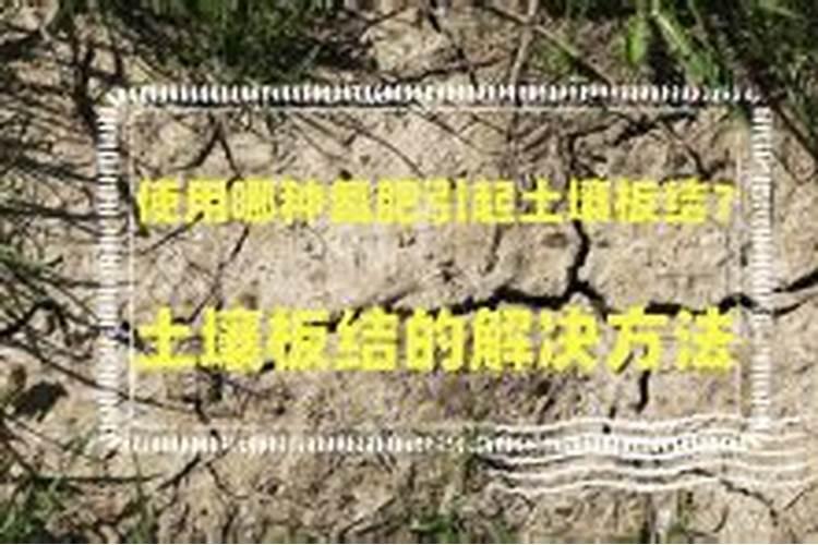 哪些肥料含氮肥多