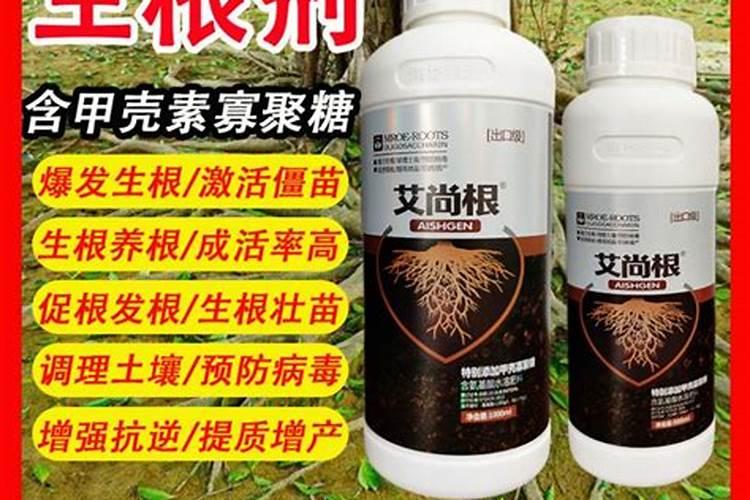 中国最好的果树叶面肥有哪些？