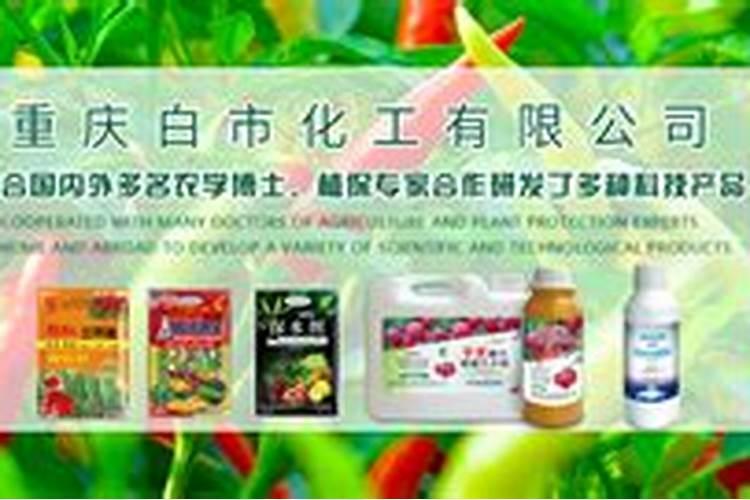 水稻分蘖期用什么叶面肥好