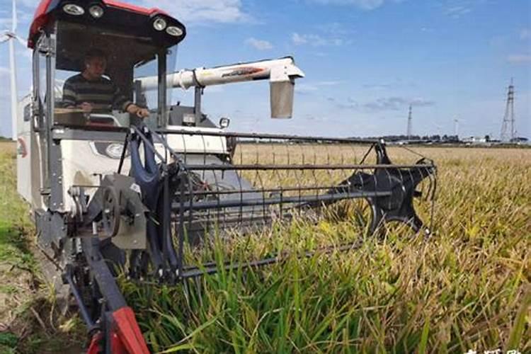 国内氨基酸水溶肥生产厂家有哪些？