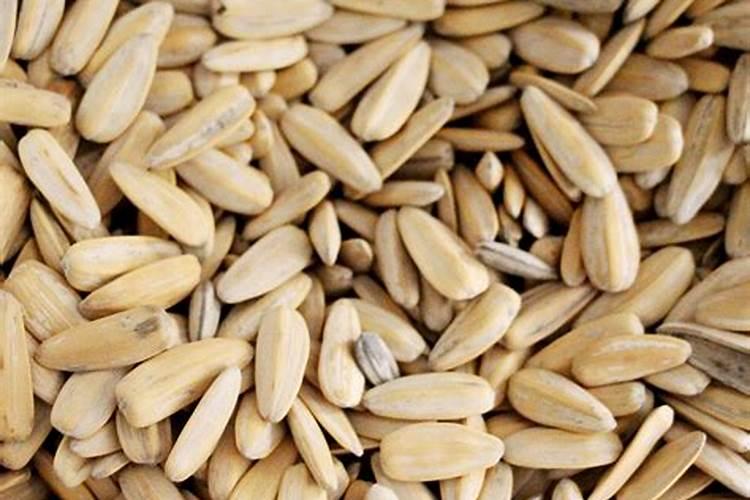 施可丰玉米专用肥价格表