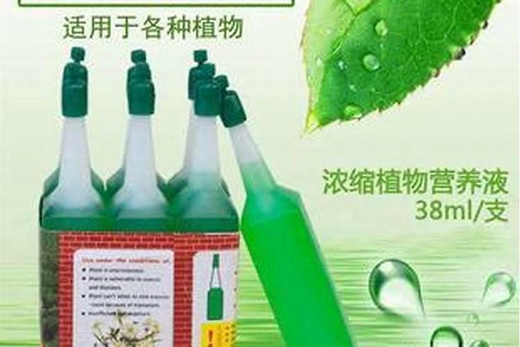 水溶肥排名前十位的有哪些品牌