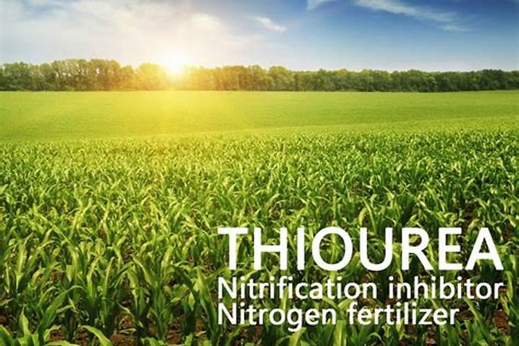 桃树缺磷的症状是什么