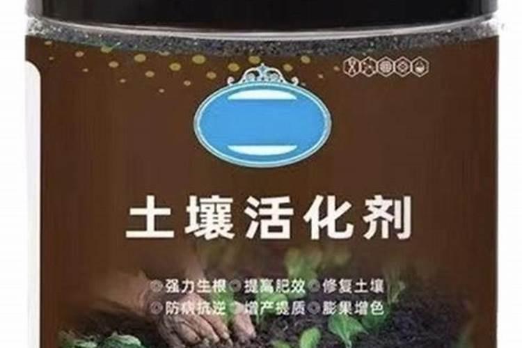 榆树下山桩出芽后能否喷些叶面肥