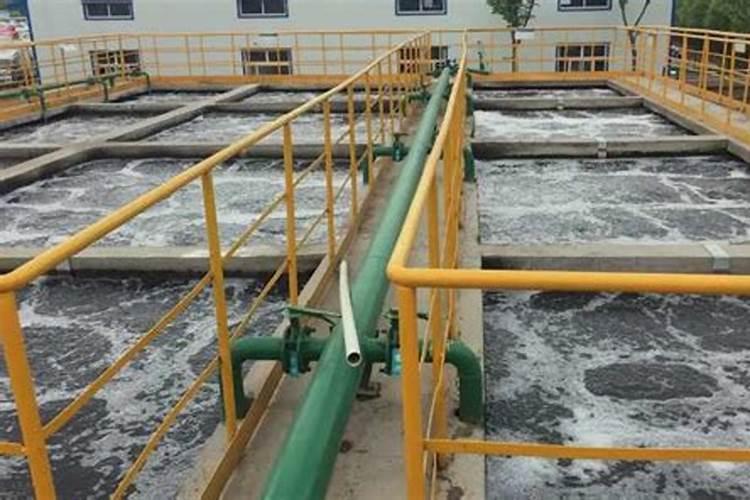 茄子育苗一亩都需要多少种子呢？