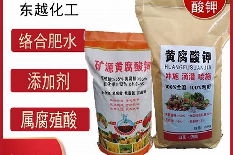 琴叶榕施什么肥最好