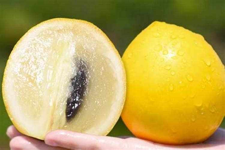 秋季大樱桃树盛果期施肥的方法