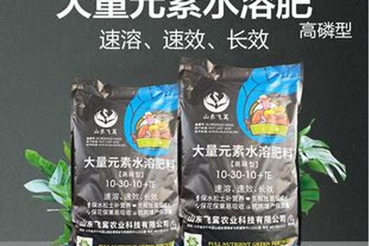 芒果膨大的方法是什么？需要给芒果打叶面肥吗？