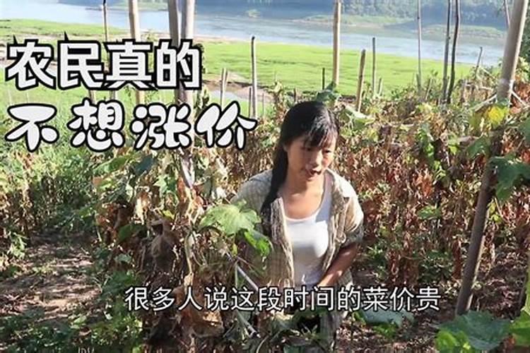 钾肥日晒容易挥发吗