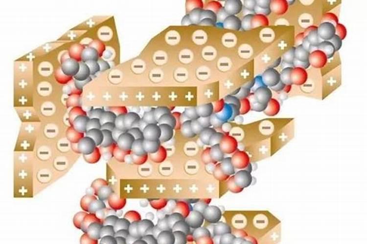 腐植酸有什么作用