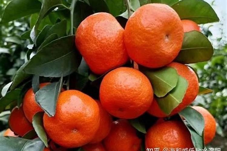 氧化钾是钾肥吗？和氯化钾和硫酸钾有什么区别？