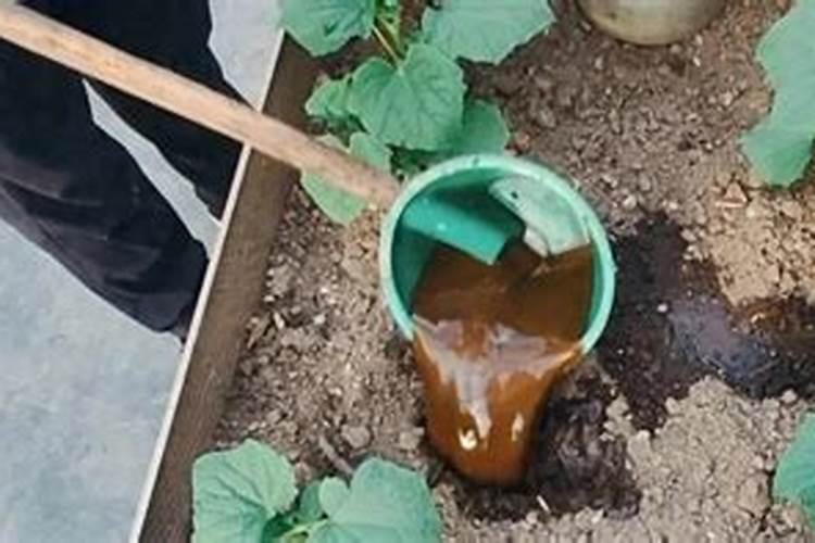 水肥一体化技术:从传统到现代的农业变革