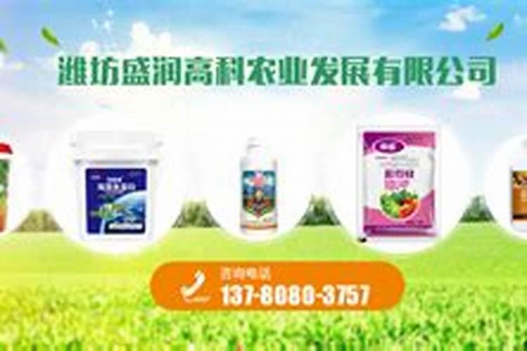 马铃薯微型薯肥料过量造成肥害怎么治疗及方法