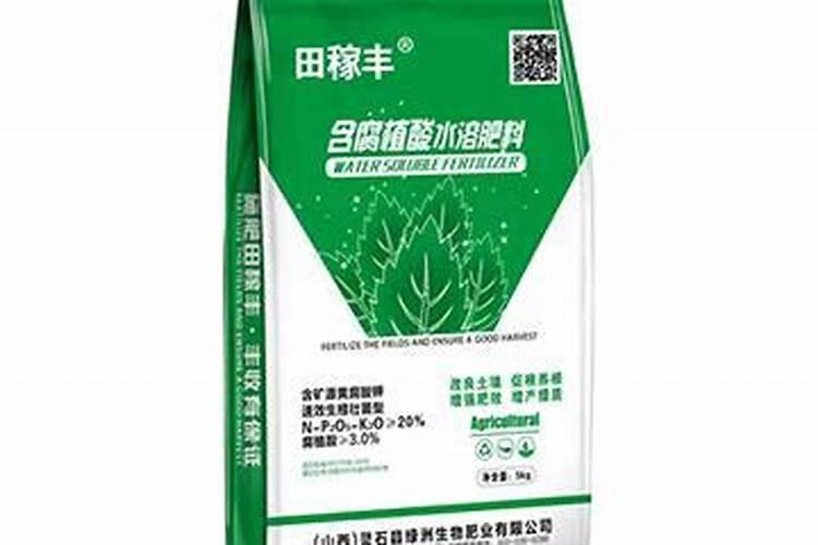 星露谷物语肥料哪里买