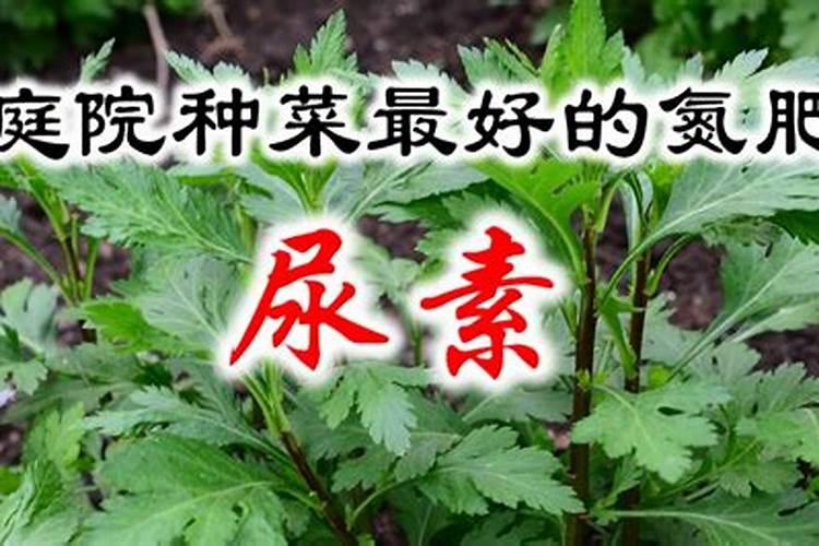 大量元素水溶肥使用方法