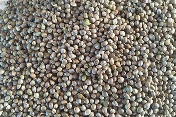 大豆追肥的最佳时期,施什么肥好