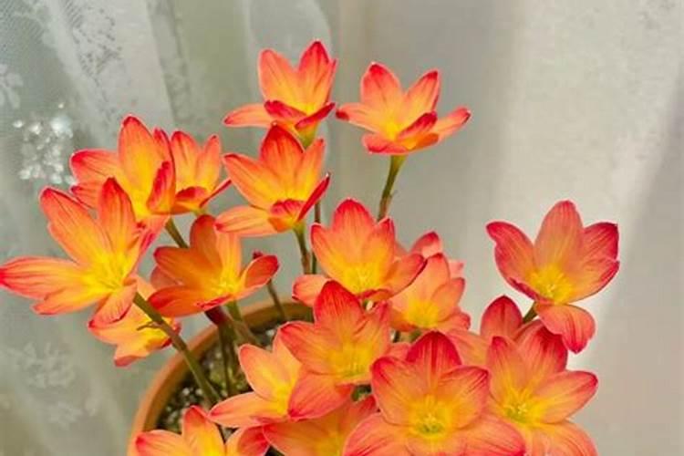 使用化肥的坏处是什么？