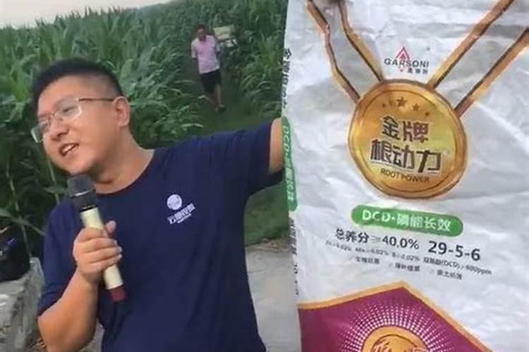 水果玉米施什么肥最好 怎么给水果玉米施肥好呢