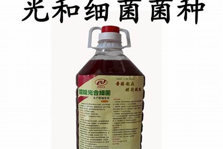 水稻抽穗结实期如何管理 有哪些注意事项