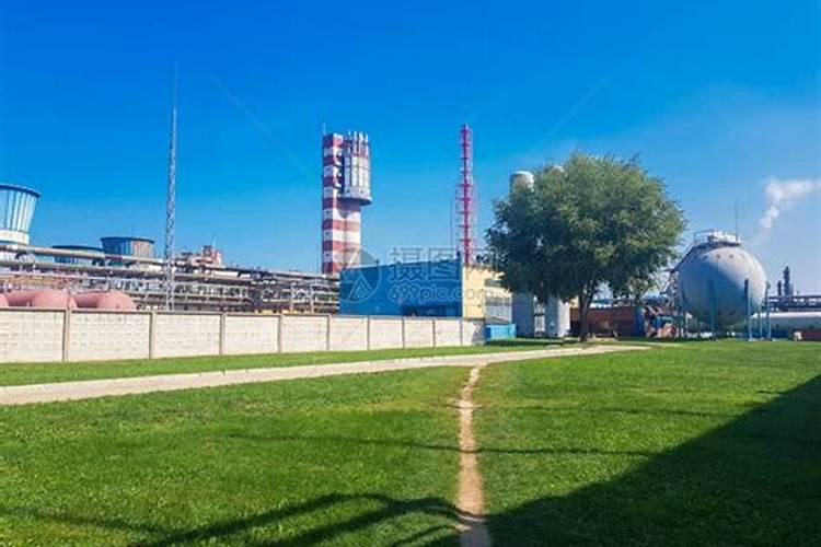 柚子用什么肥料最好？蜜柚施什么肥比较好？