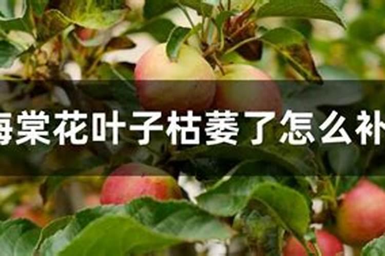 大豆叶面肥喷施注意事项 大豆怎么施肥好
