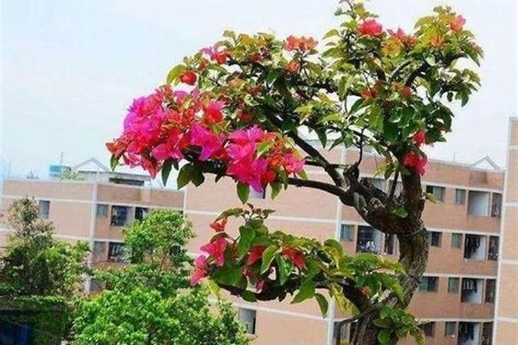 鉴别磷肥和钾肥的简易方法