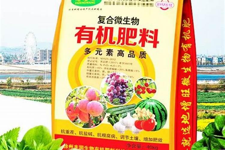 招财树如何施肥