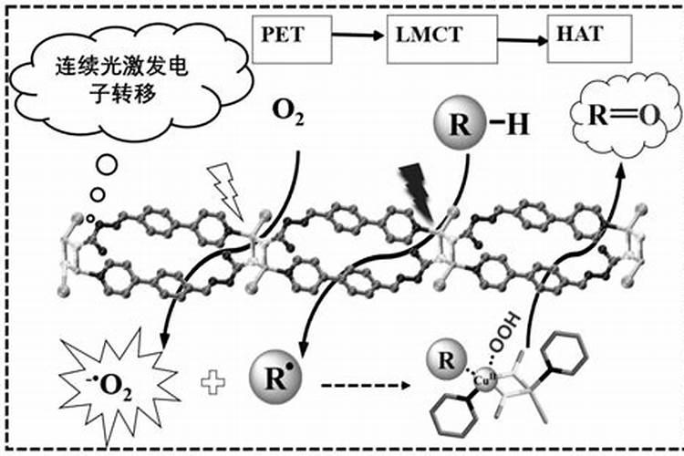 各位老师,这黄瓜叶怎么啦？