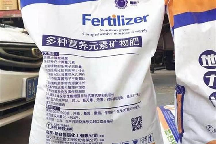 春天月季该如何施肥