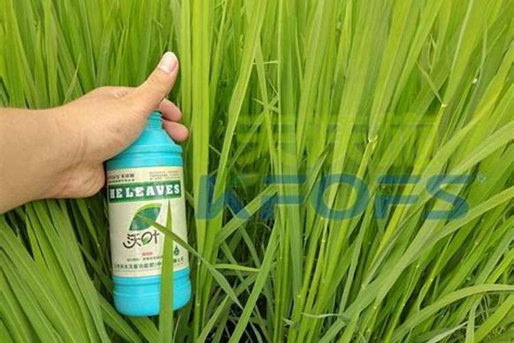 浇花的水是碱性的,如何变成酸性的。