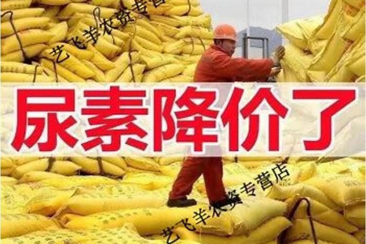 西红柿坐果期施什么肥