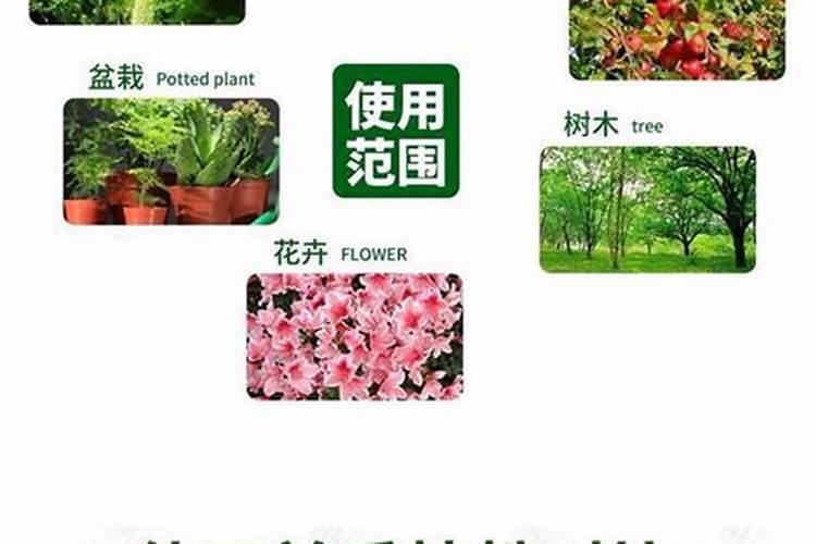 花草用尿素好还是复合肥好