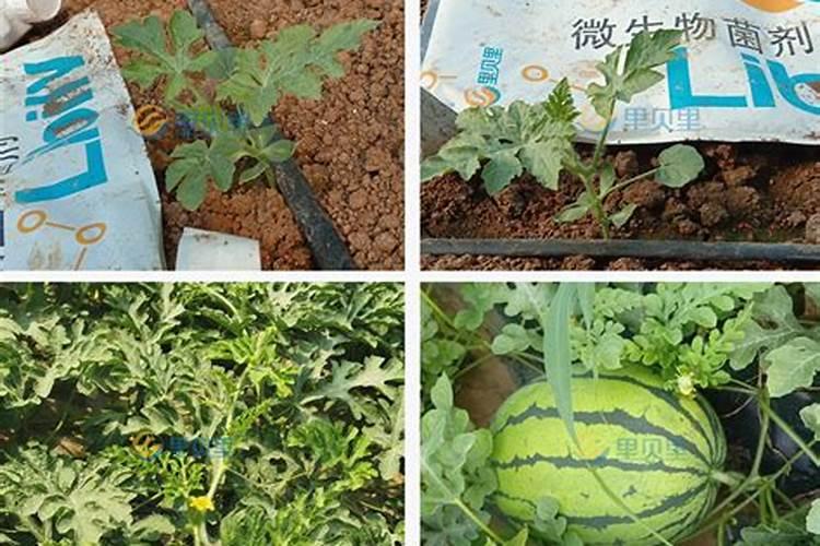 国家工商局企业查询山东恩宝生物科技有限公司是否正规