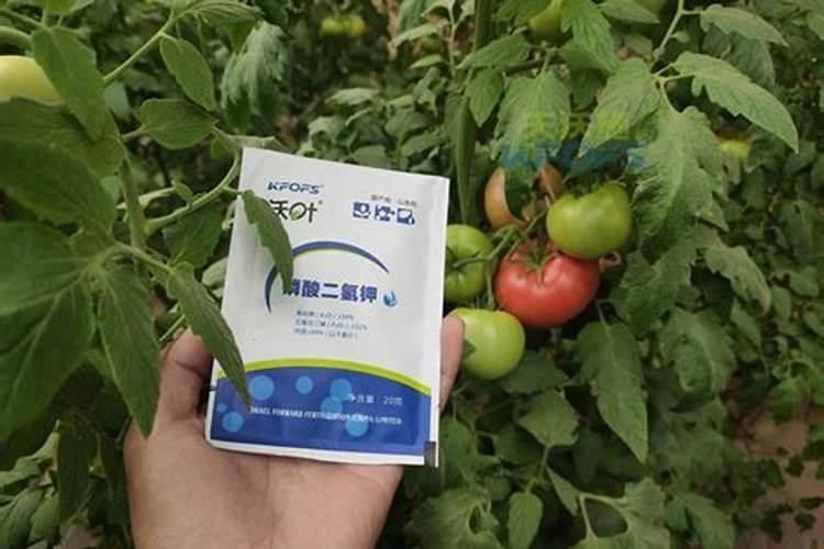 水溶肥是什么肥料,水溶肥料怎么使用效果更好