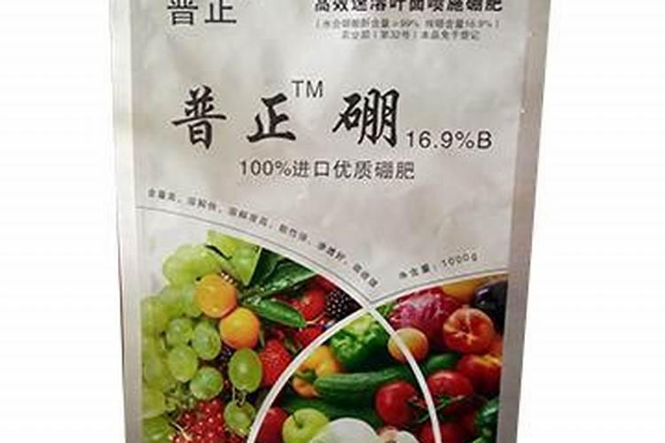兰花如何施硼肥
