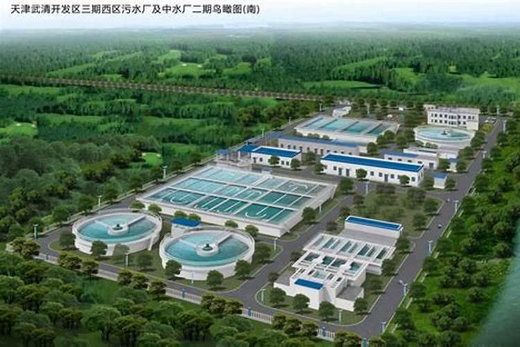 水溶肥一般几天见效