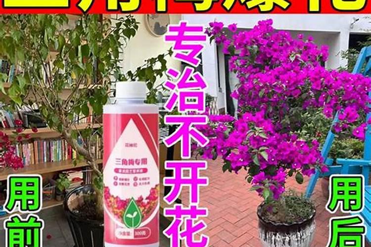 硝酸铵钙和硝酸钾和磷酸二铵混在一起冲施吗？