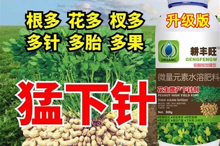 红提用什么肥使果实迅速膨大？红提水溶肥用法