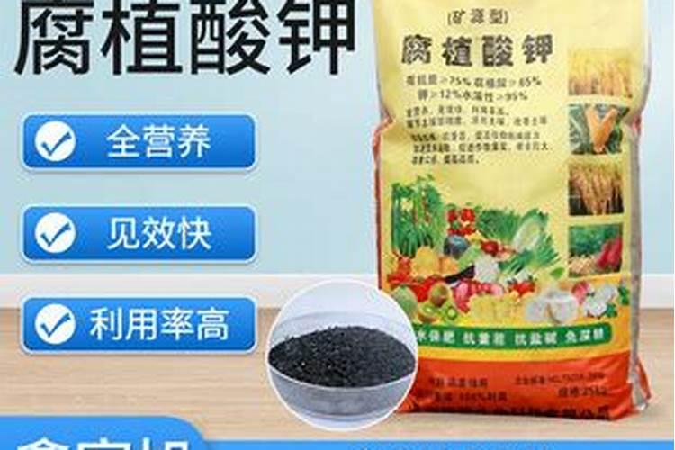 雨水储存多久不能浇花