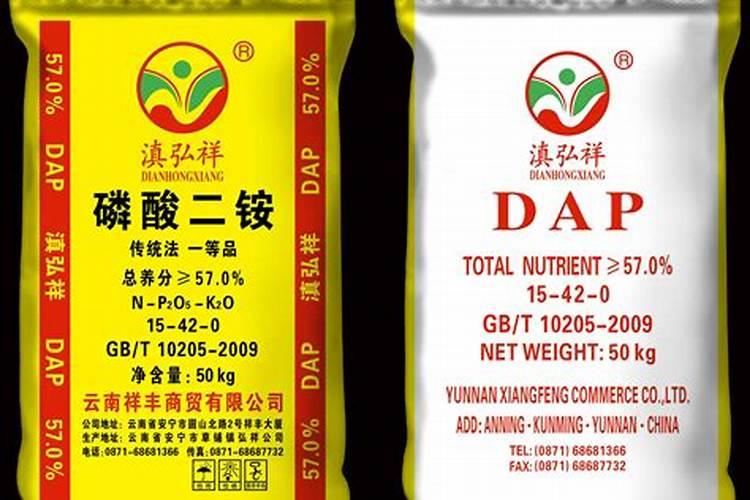 太阳花多久浇一次水