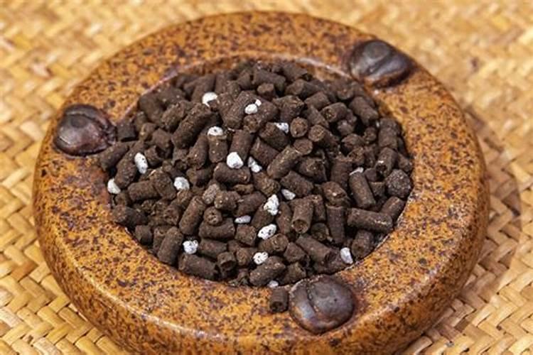 杜鹃花施什么肥较好