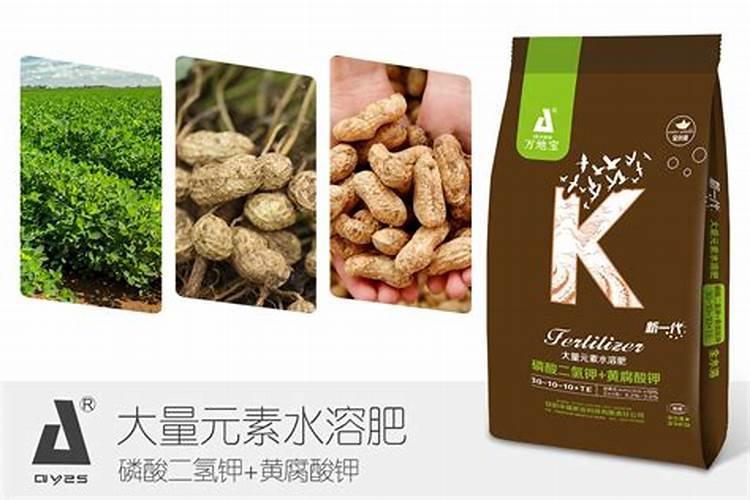 花生用什么肥料