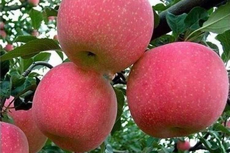 烟灰对人体的危害。。