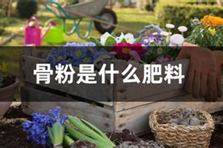 生活中哪些是有机磷钾肥